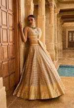 Load image into Gallery viewer, Silver Grey Gota Patti Lehenga Set
