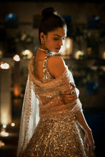 Load image into Gallery viewer, Nude Sequin Lehenga Set
