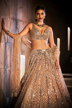 Load image into Gallery viewer, Caramel Mirror Lehenga Set
