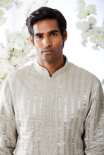 Load image into Gallery viewer, Ash Silver Kurta Set
