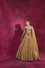 Load image into Gallery viewer, Mud Green &amp; Gold Tissue Lehenga Set

