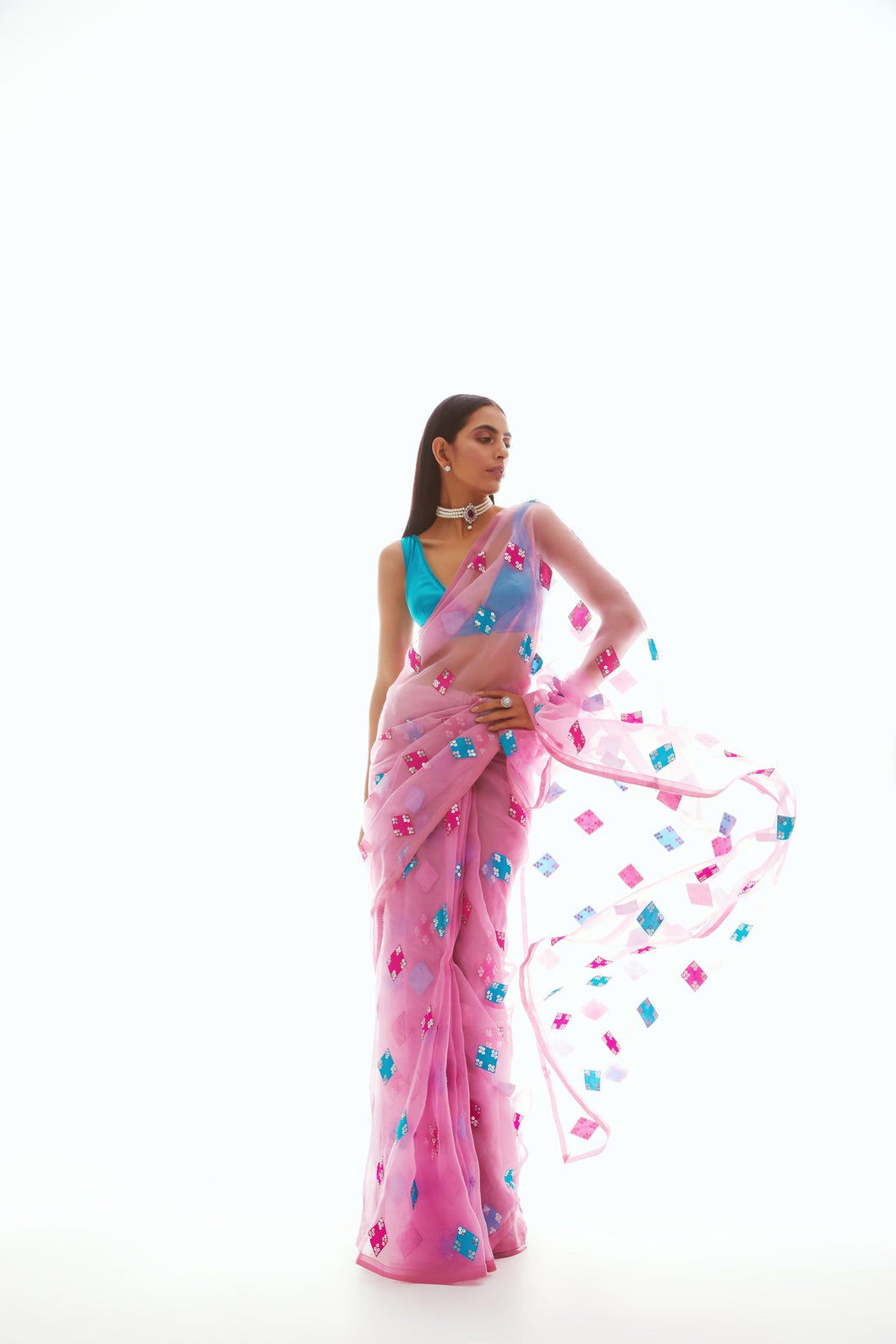 Diamond Applique Organzasaree