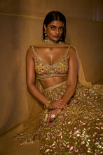 Load image into Gallery viewer, Three-Dimensional Light Coffee Floral Lehenga Set
