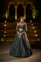 Load image into Gallery viewer, Olive Green Sequin Lehenga Set
