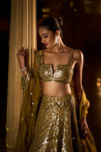 Load image into Gallery viewer, Olive Green Mirror Work Lehenga Set
