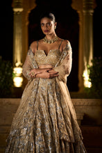 Load image into Gallery viewer, Gold Silver Lehenga Set
