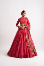 Load image into Gallery viewer, Deep Coral Silk Organza Heavy Dupatta Lehenga Set

