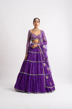 Load image into Gallery viewer, Purple Noodle Strap Multi Tier Lehenga Set
