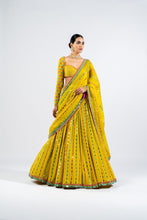 Load image into Gallery viewer, MOSS GREEN LINEAR DROP LEHENGA SET
