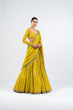 Load image into Gallery viewer, MOSS GREEN LINEAR DROP LEHENGA SET
