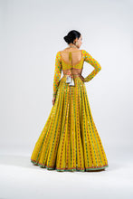 Load image into Gallery viewer, MOSS GREEN LINEAR DROP LEHENGA SET
