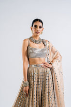 Load image into Gallery viewer, BEIGE LINEAR DROP LEHENGA WITH METALLIC BLOUSE
