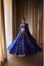 Load image into Gallery viewer, Royal Blue Small Flower Linear Lehenga Set
